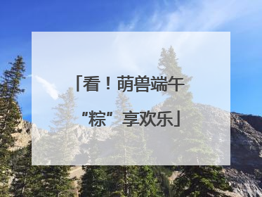 看！萌兽端午“粽”享欢乐